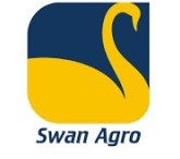 Swan
